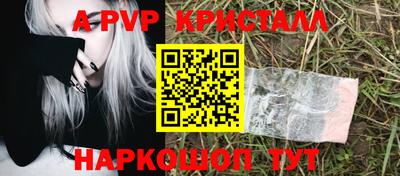 СК Рязань