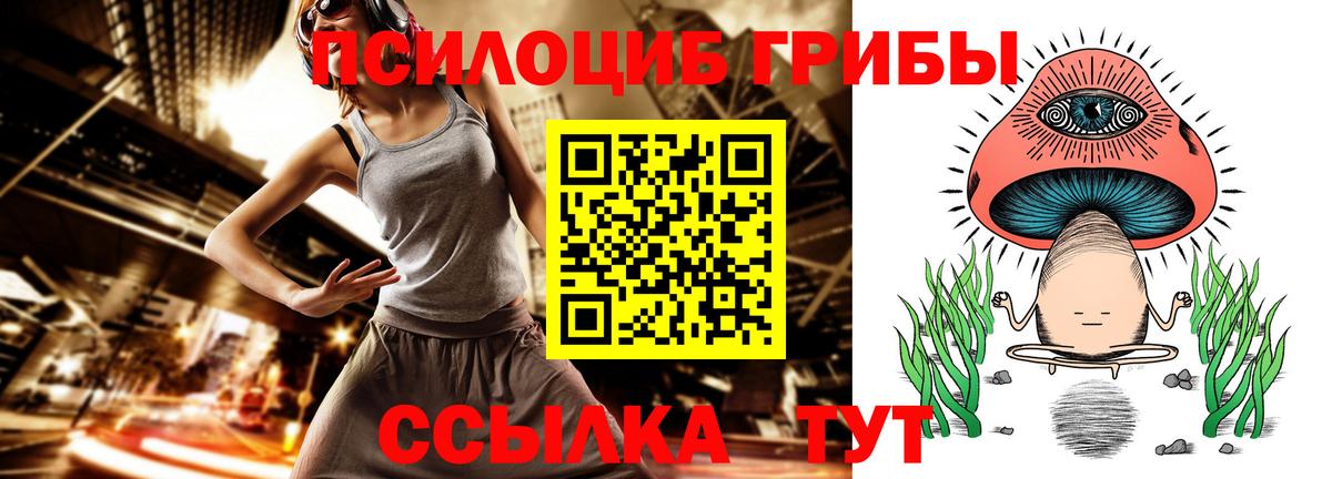 Орехово-Зуево  цены   Вход с VPN  Галлюциногенные грибы GOLDEN TEACHER 