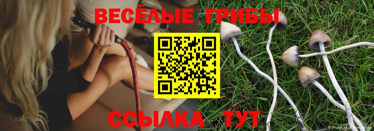 Псилоцибиновые грибы MAGIC MUSHROOMS Орехово-Зуево